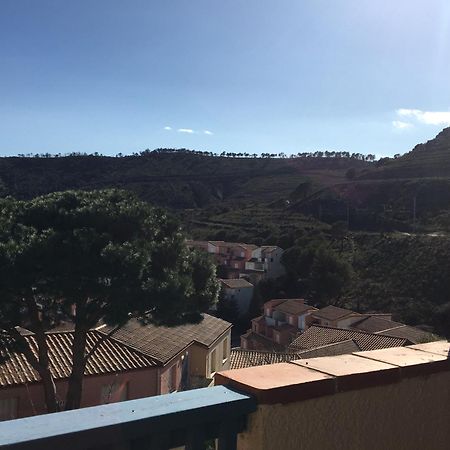 Acacia Apartman Cerbère Kültér fotó